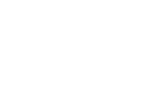 Logo Apple Pay