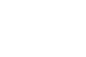 Logo Visa